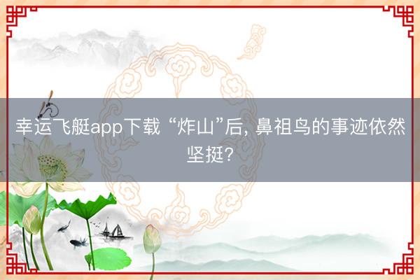 幸运飞艇app下载 “炸山”后, 鼻祖鸟的事迹依然坚挺?