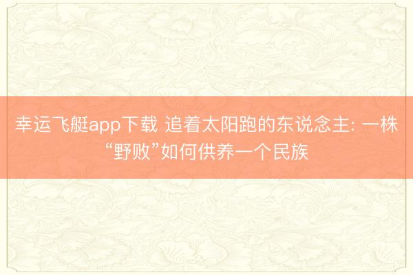 幸运飞艇app下载 追着太阳跑的东说念主: 一株“野败”如何供养一个民族