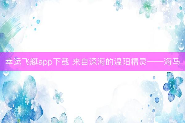 幸运飞艇app下载 来自深海的温阳精灵——海马