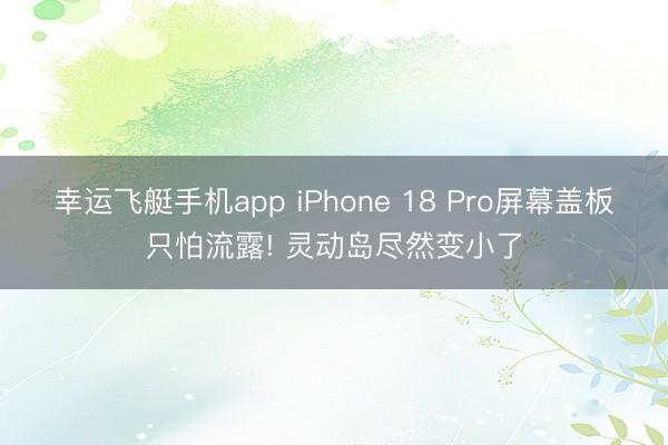 幸运飞艇手机app iPhone 18 Pro屏幕盖板只怕流露! 灵动岛尽然变小了