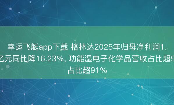 幸运飞艇app下载 格林达2025年归母净利润1.23亿元同比降16.23%， 功能湿电子化学品营收占比超91%