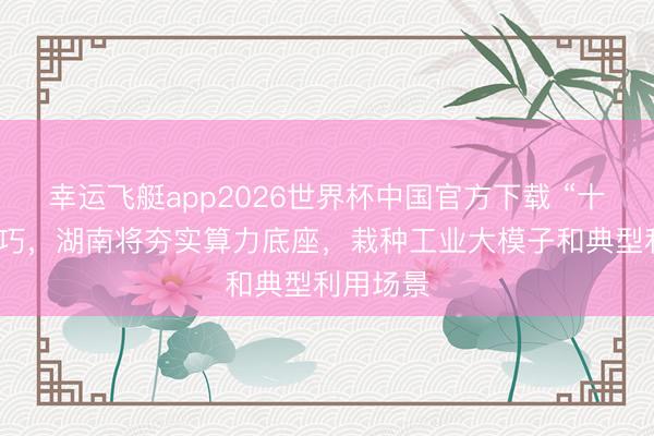 幸运飞艇app2026世界杯中国官方下载 “十五五”技巧，湖南将夯实算力底座，栽种工业大模子和典型利用场景